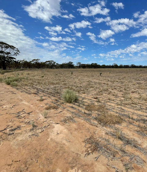 View of paddock and blue sky