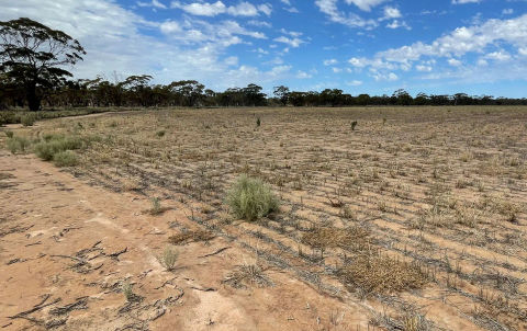 View of paddock and blue sky