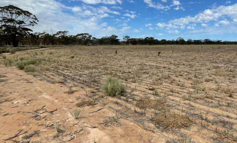 View of paddock and blue sky